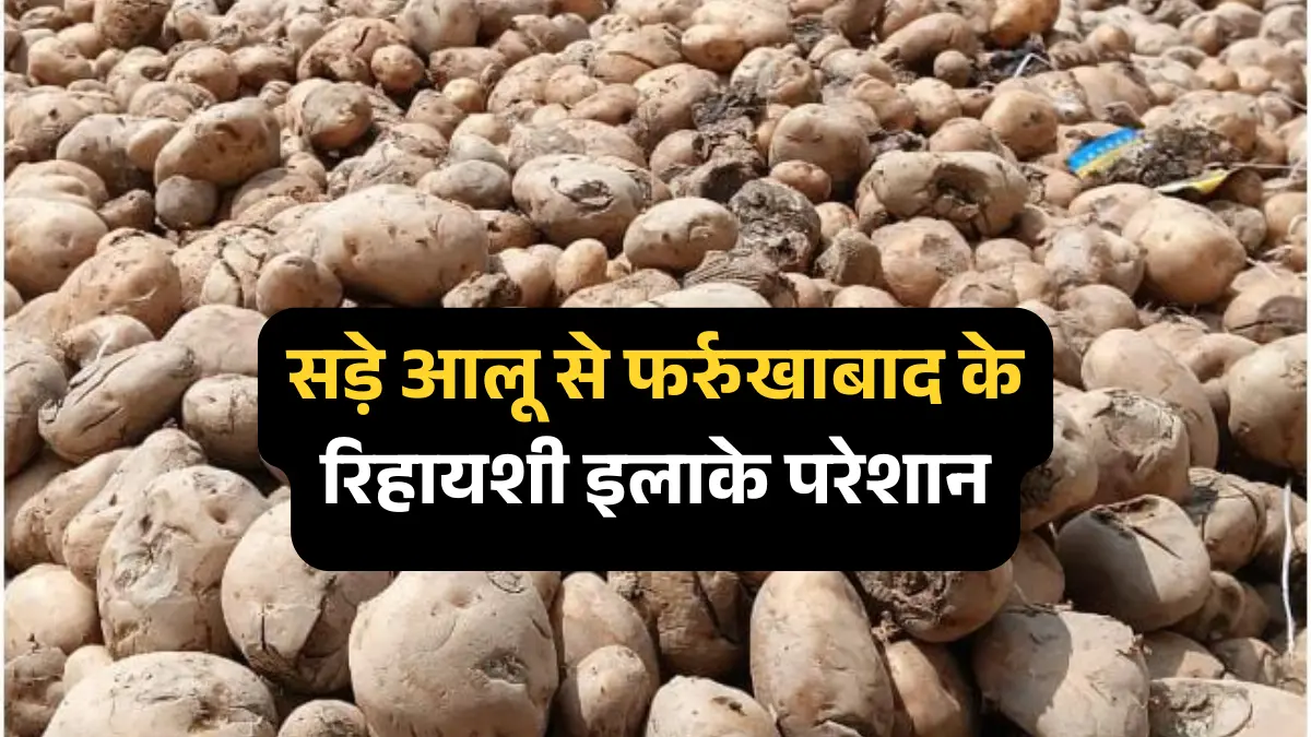 फर्रुखाबाद सड़ा आलू समस्या: रिहायशी इलाकों में फैल रहा कचरा, डीएम करेंगे कार्रवाई